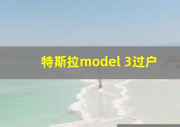 特斯拉model 3过户